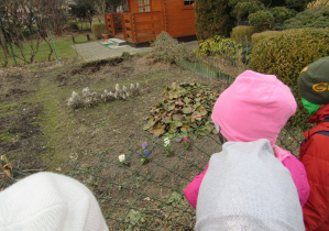 dzieci oglądają kwiaty