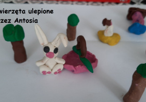 Zdjęcie 33 na 50