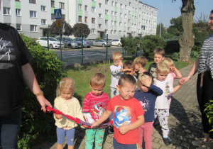Zdjęcie 32 na 48