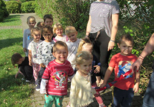 Zdjęcie 33 na 48