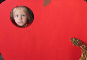 Zdjęcie 25 na 30