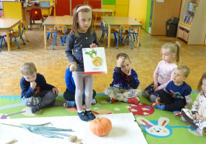Zdjęcie 11 na 22