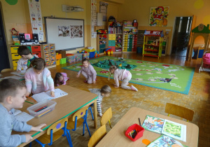 Zdjęcie 44 na 47