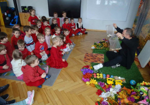 Zdjęcie 2 na 29