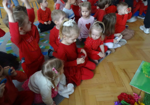 Zdjęcie 8 na 29