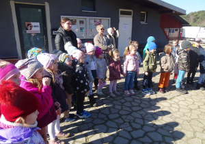 Zdjęcie 11 na 19