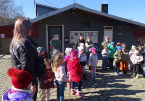 Zdjęcie 12 na 19