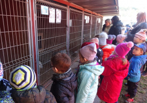 Zdjęcie 18 na 19