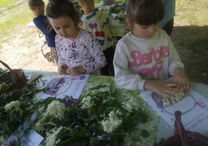 Zdjęcie 6 na 79