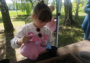 Zdjęcie 7 na 79