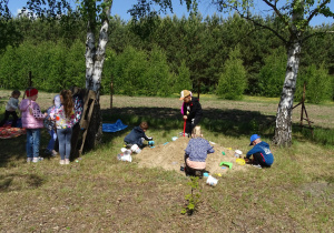 Zdjęcie 12 na 68