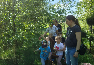 Zdjęcie 52 na 70