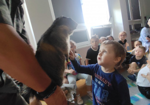Zdjęcie 18 na 49