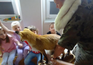 Zdjęcie 43 na 67