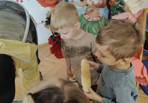 Zdjęcie 31 na 35