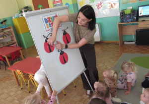 Zdjęcie 18 na 42