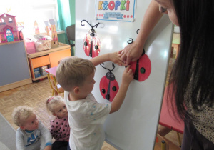 Zdjęcie 22 na 42