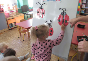 Zdjęcie 24 na 42
