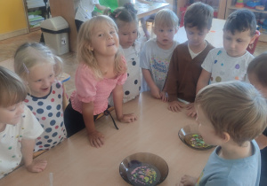 Zdjęcie 4 na 31