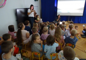 Zdjęcie 9 na 20