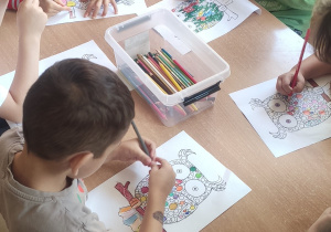 Zdjęcie 10 na 12
