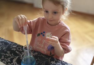 Zdjęcie 48 na 79