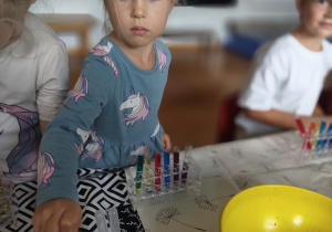Zdjęcie 60 na 79