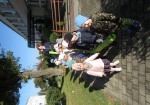 Zdjęcie 1 na 31