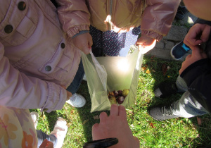Zdjęcie 14 na 31