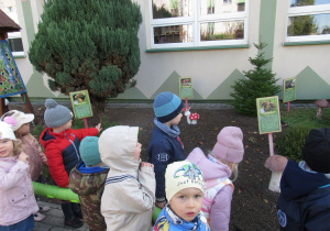 Zdjęcie 21 na 31