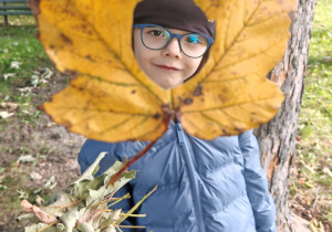 Zdjęcie 34 na 55