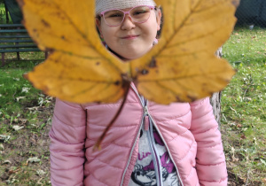 Zdjęcie 36 na 55