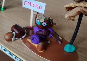 Zdjęcie 51 na 55