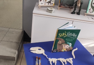 Zdjęcie 7 na 69