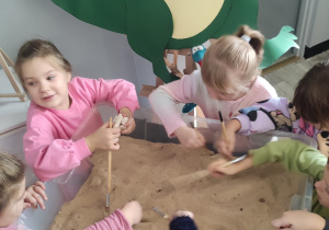Zdjęcie 31 na 69