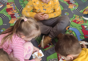 Zdjęcie 49 na 69